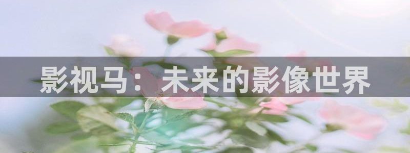 欧美西瓜影院私人影院