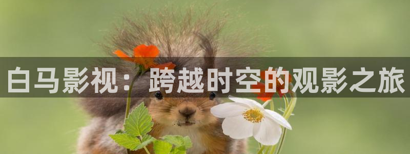 西瓜影视app下载